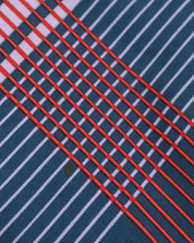 Mascada Dior Logo
