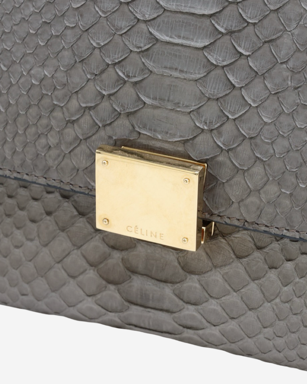 Bolso Celine Trapeze Pitón 2012
