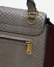 Bolso Celine Trapeze Pitón 2012