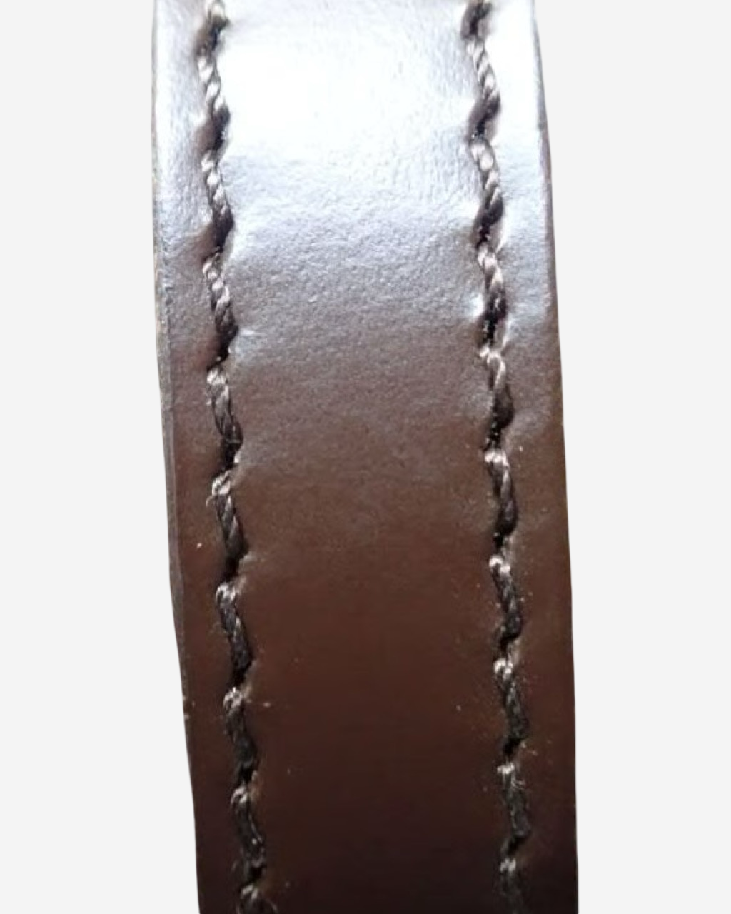 Louis Vuitton Damier Ebene Papillon PM Bag