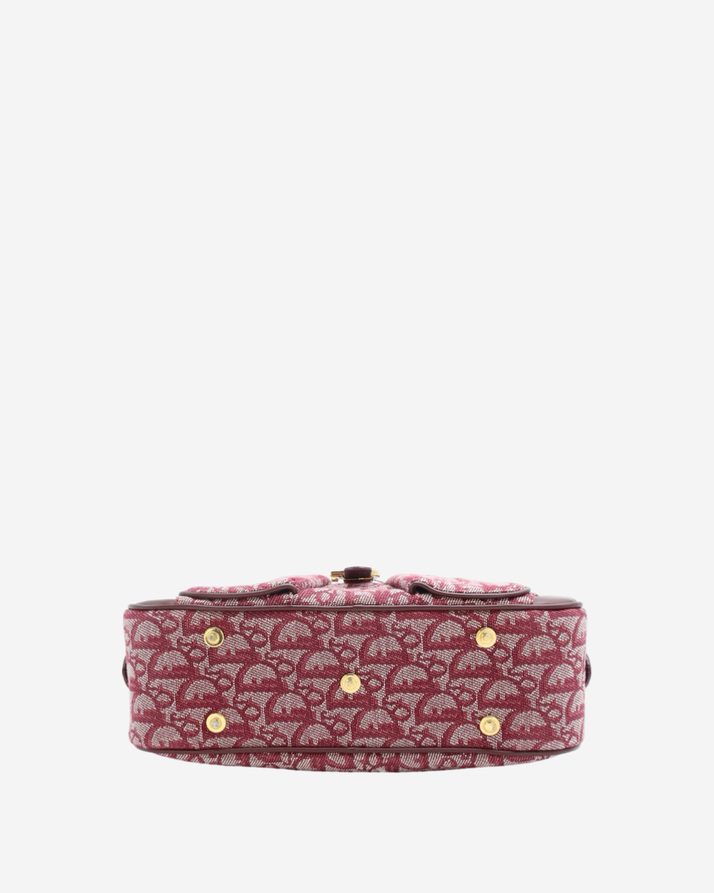 Bolso Dior Trotter Double Saddle Bowler 2002