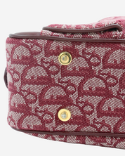 Bolso Dior Trotter Double Saddle Bowler 2002