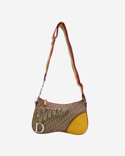 Dior Trotter Rasta Double Saddle Bag 2004
