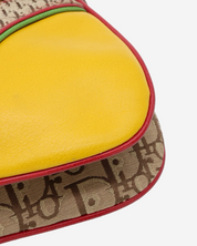 Dior Trotter Rasta Double Saddle Bag 2004