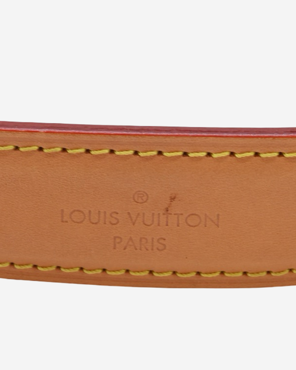 Bolso Louis Vuitton Side Trunk MM