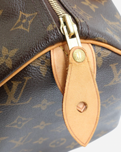 Bolso Louis Vuitton Speedy 30 2011