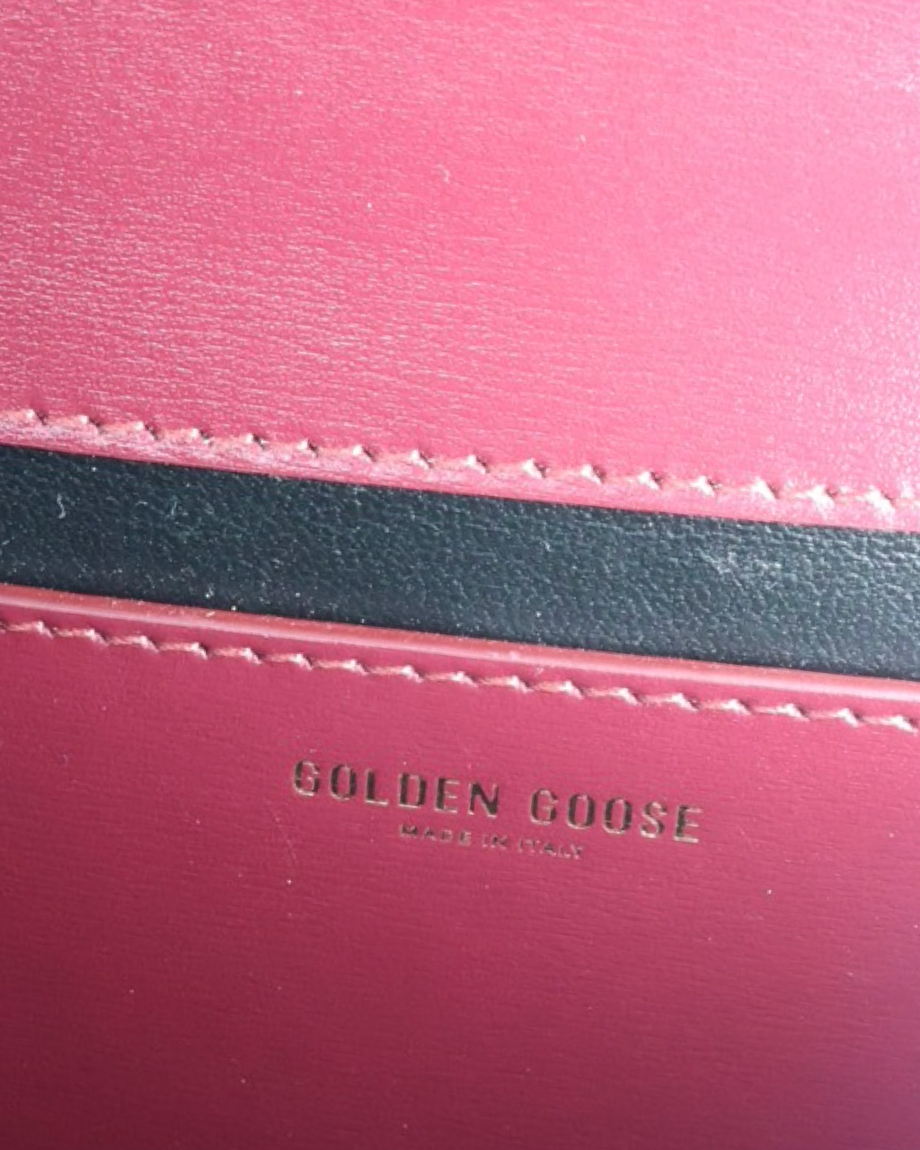 Bolso Golden Goose Venezia