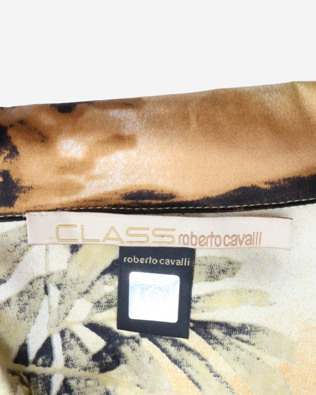 Camisa Cavalli Class S
