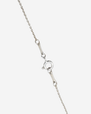 Collar Tiffany & Co. x Elsa Peretti Starfish