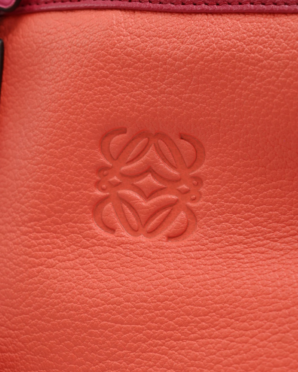 Bolso Loewe Amazon 36