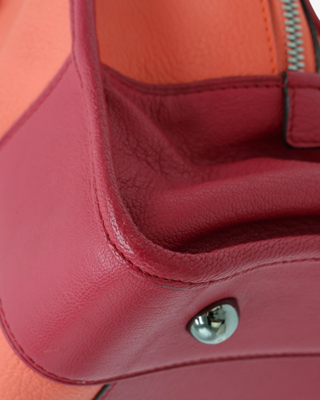 Bolso Loewe Amazon 36