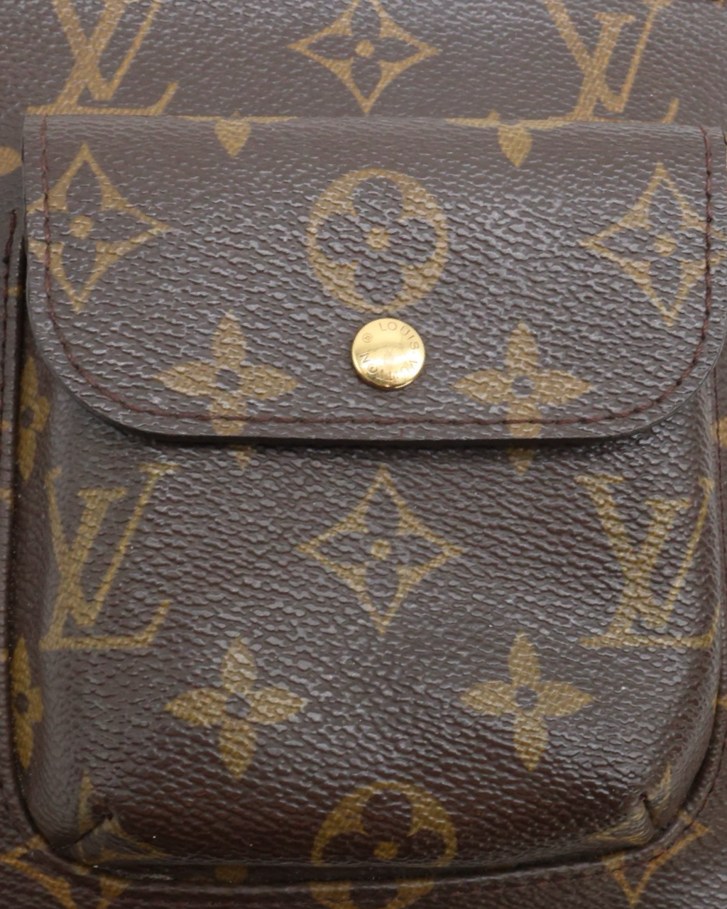 Louis Vuitton Monogram Pouch