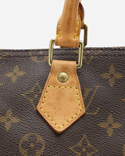 Bolso Louis Vuitton Speedy 35