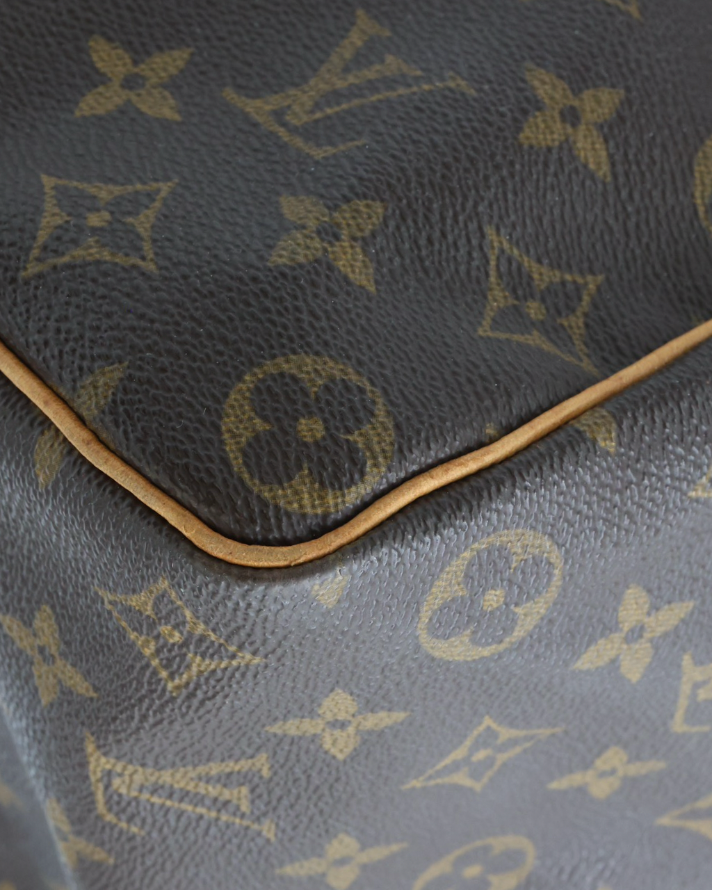 Bolso Louis Vuitton Speedy 35