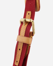 Bolso Louis Vuitton Porte Épaule Rayé 2006