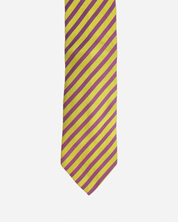 Etro Striped Tie