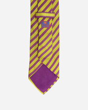 Etro Striped Tie