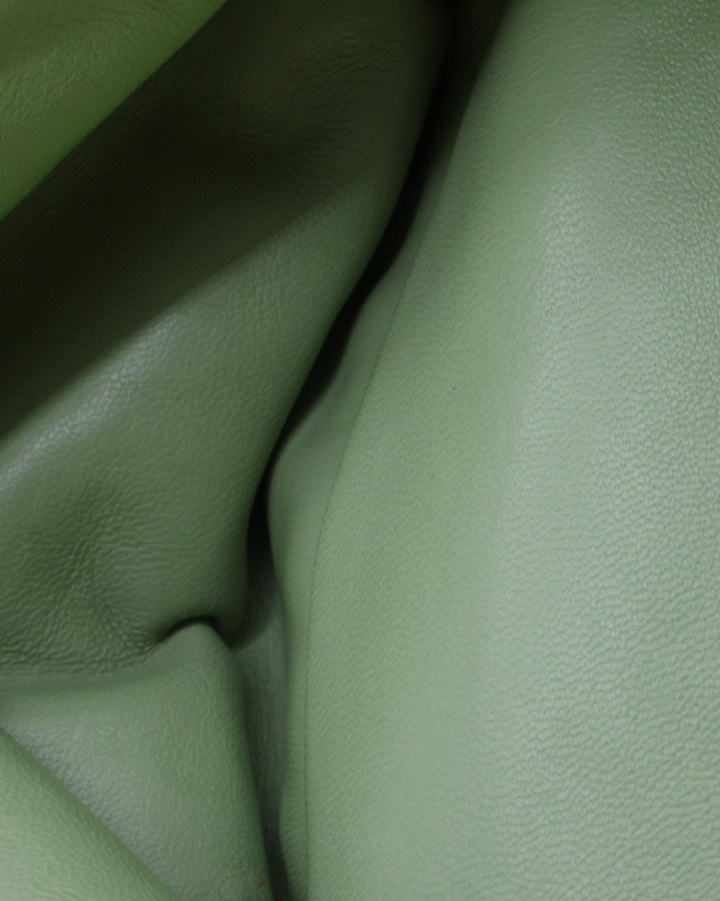 Bolso Loewe Goya
