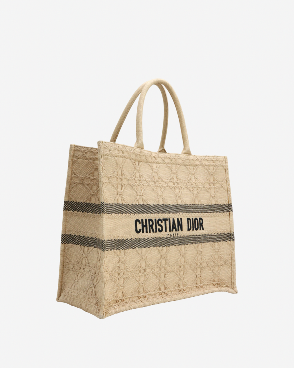 Dior Book Tote Bag 2022