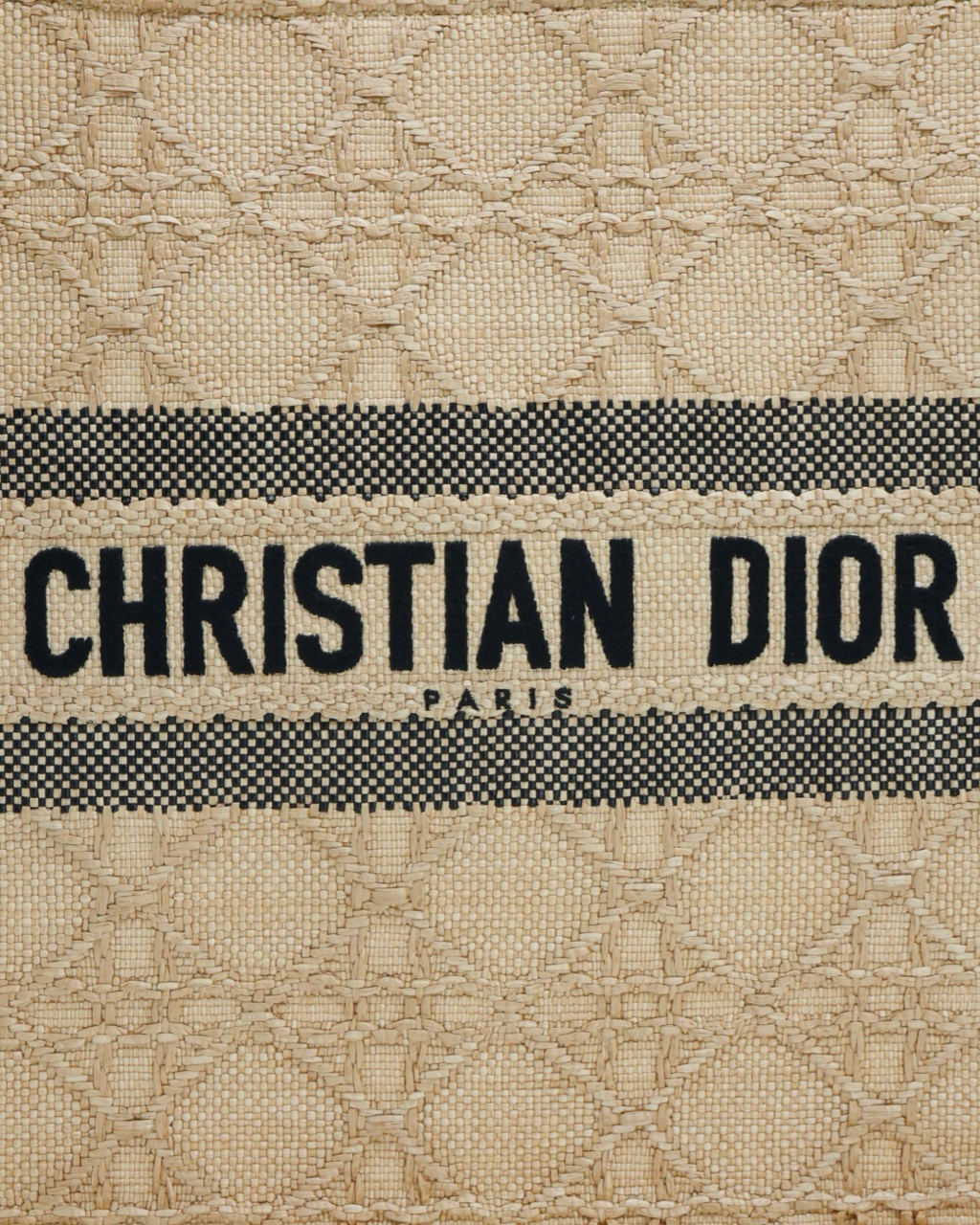 Dior Book Tote Bag 2022