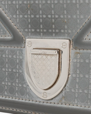 Dior Diorama Bag 2019