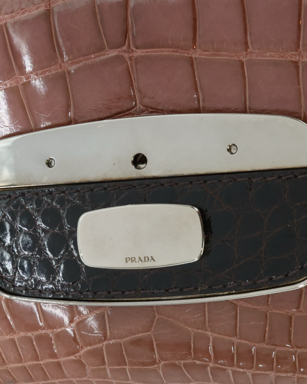 Prada Coccodrillo Skipper Bag