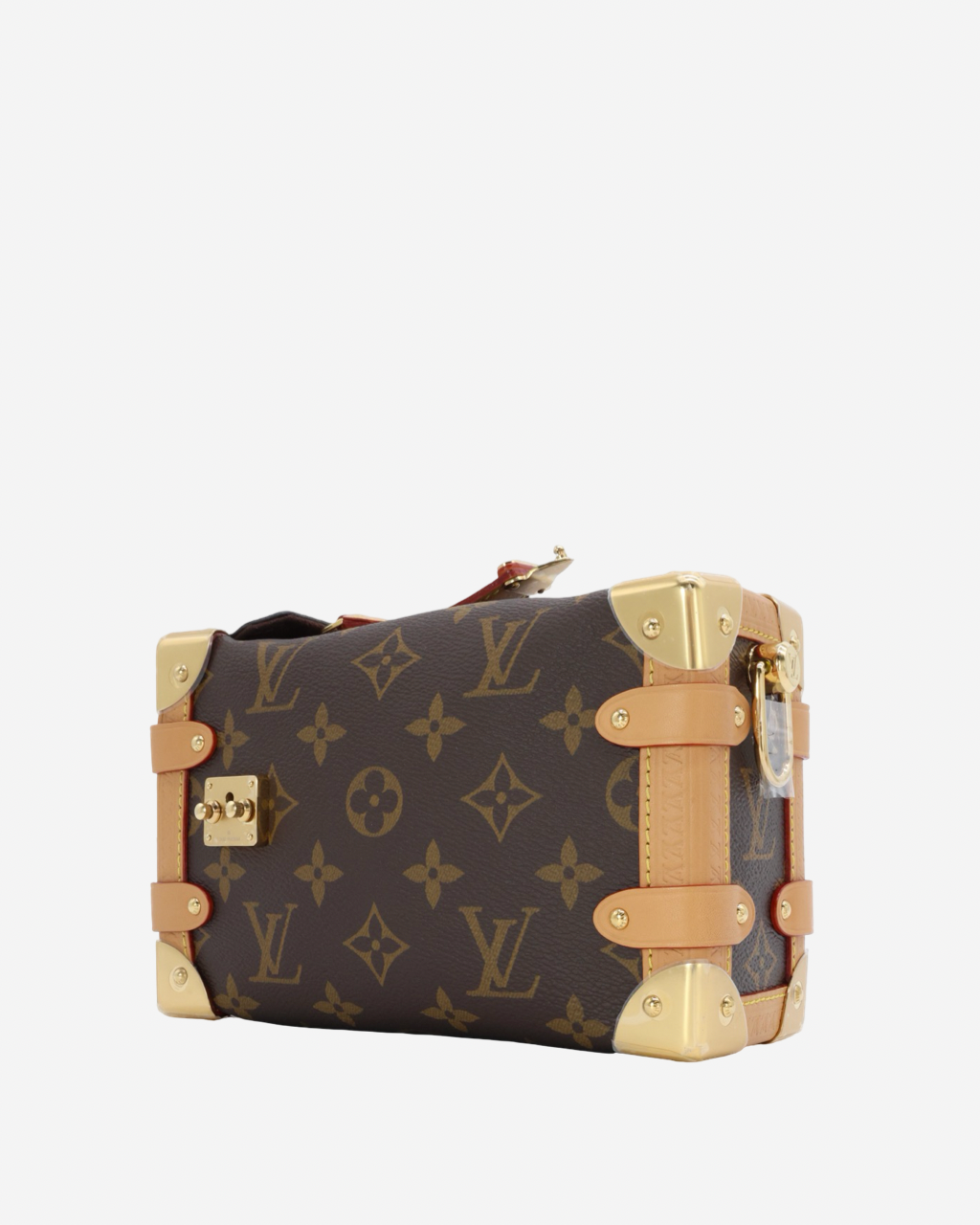 Bolso Louis Vuitton Side Trunk MM