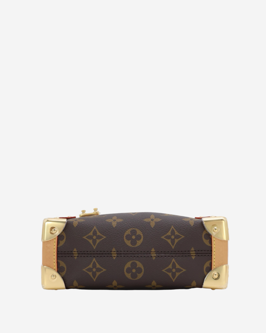 Bolso Louis Vuitton Side Trunk MM
