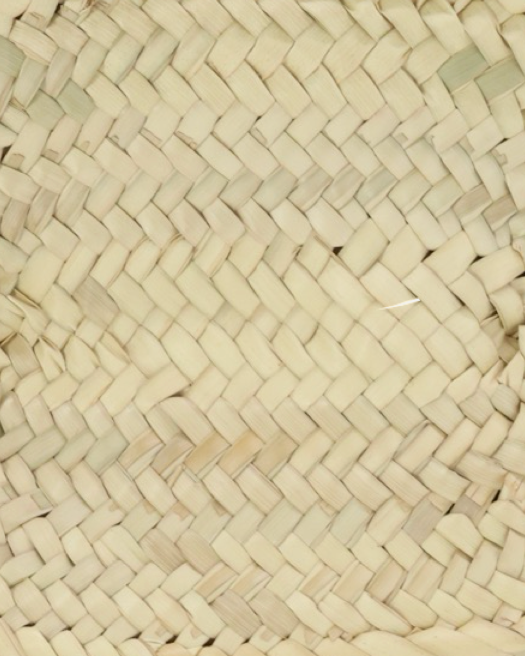 Bolso Jacquemus Le Panier Soli