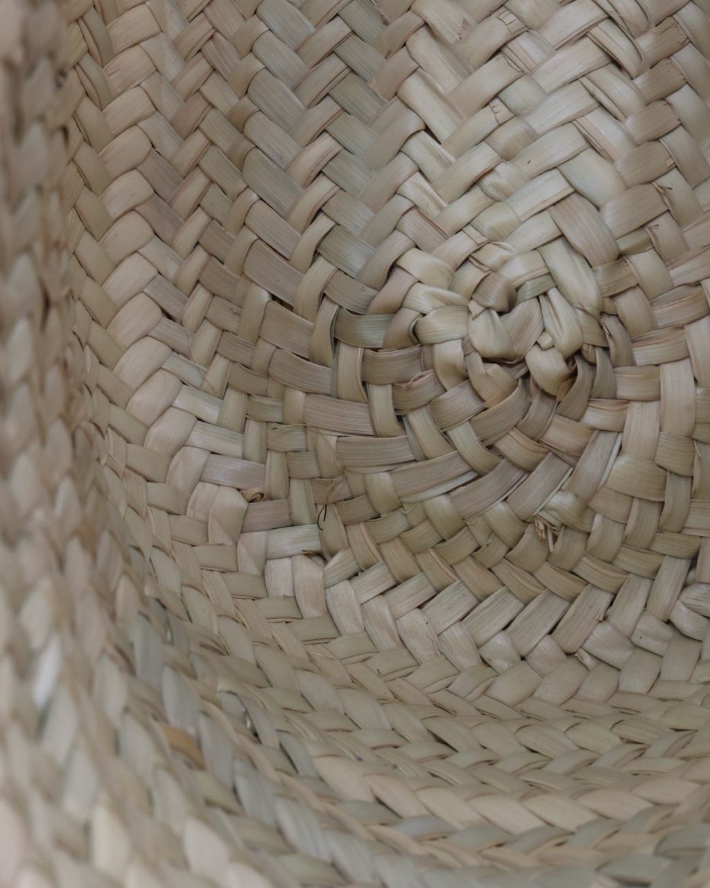 Bolso Jacquemus Le Panier Soli