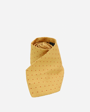 Ferragamo Gancini Tie