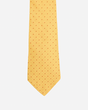 Ferragamo Gancini Tie