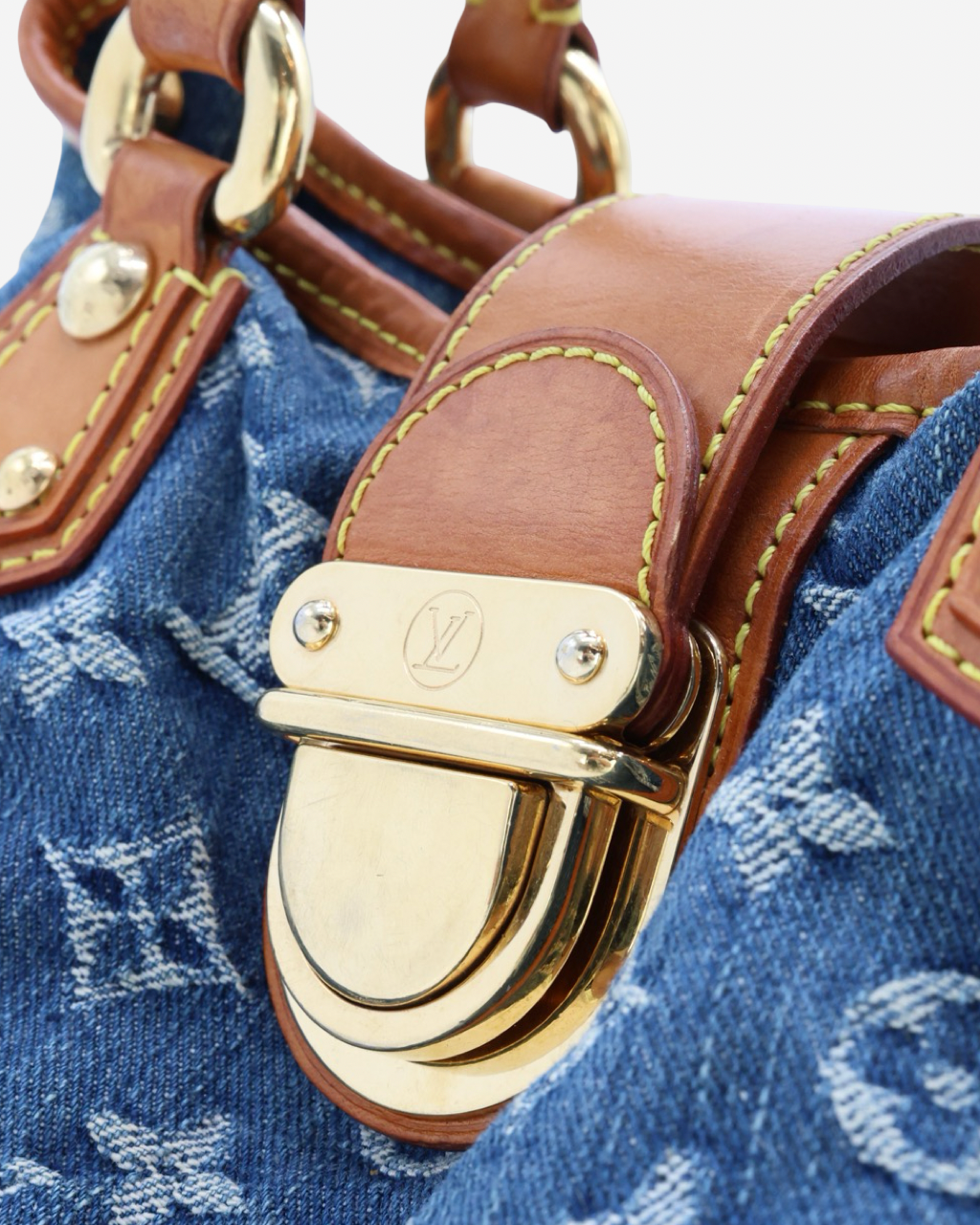 Louis Vuitton Pleaty Bag