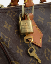 Bolso Louis Vuitton Speedy 25 2001