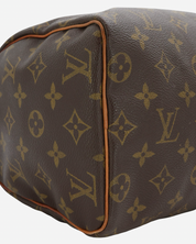 Bolso Louis Vuitton Speedy 25 2001