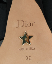 Zapatillas Dior x Roger Vivier 36
