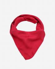 Louis Vuitton Monogram Scarf
