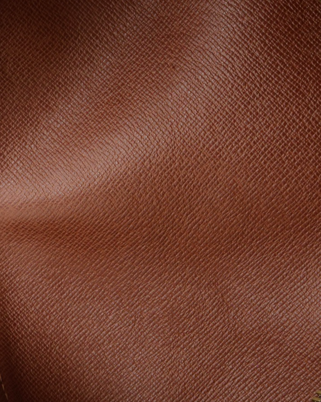 Bolso Louis Vuitton Papillon Monogram 2001