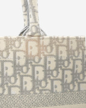 2022 Dior Oblique Book Tote Bag