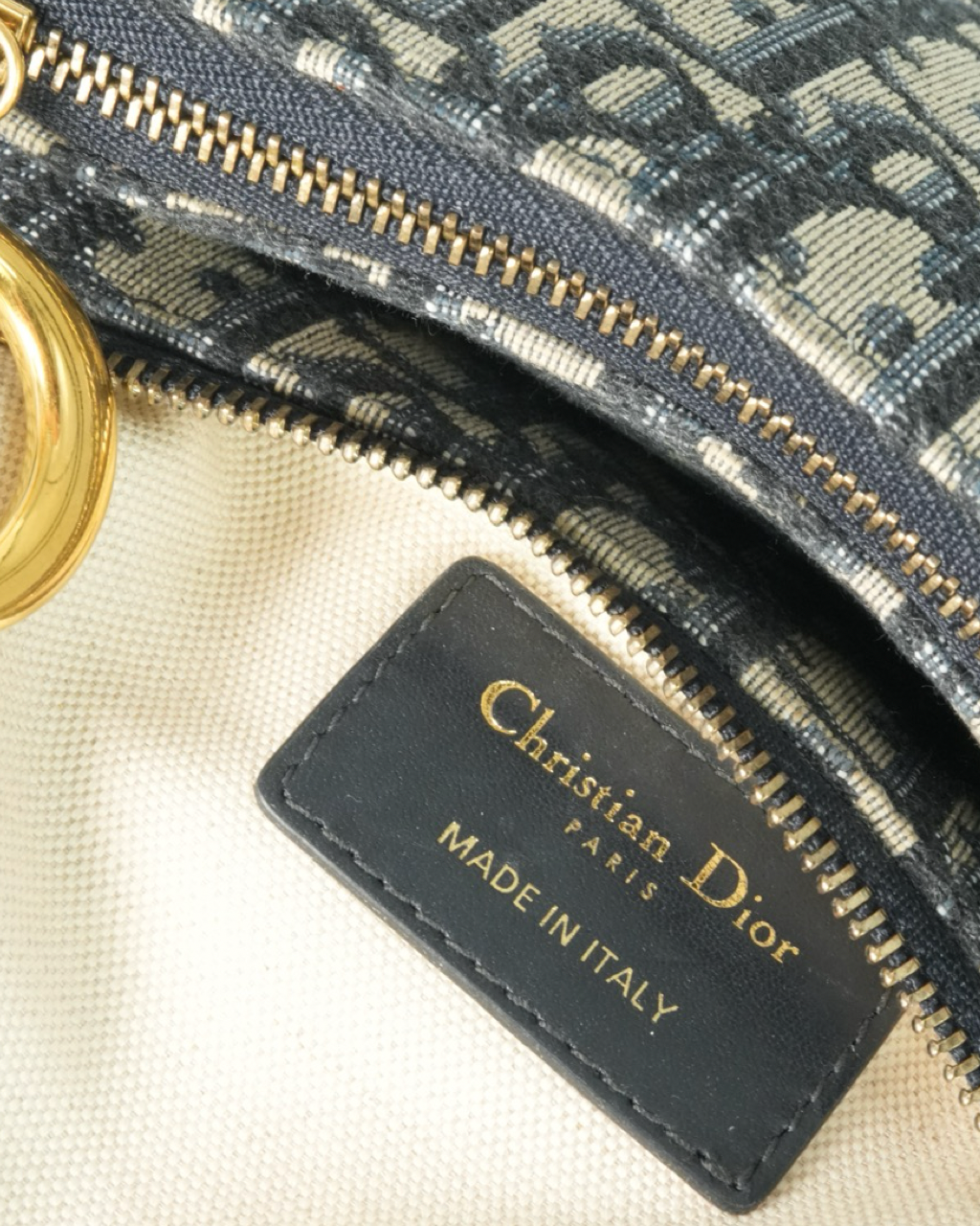 Bolso Dior Oblique Saddle 2019
