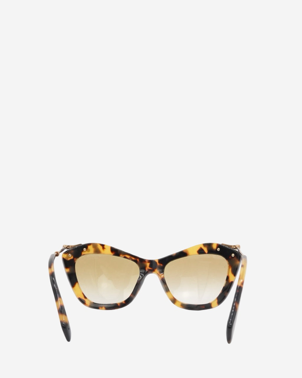 IBDROP95_1110.jpg