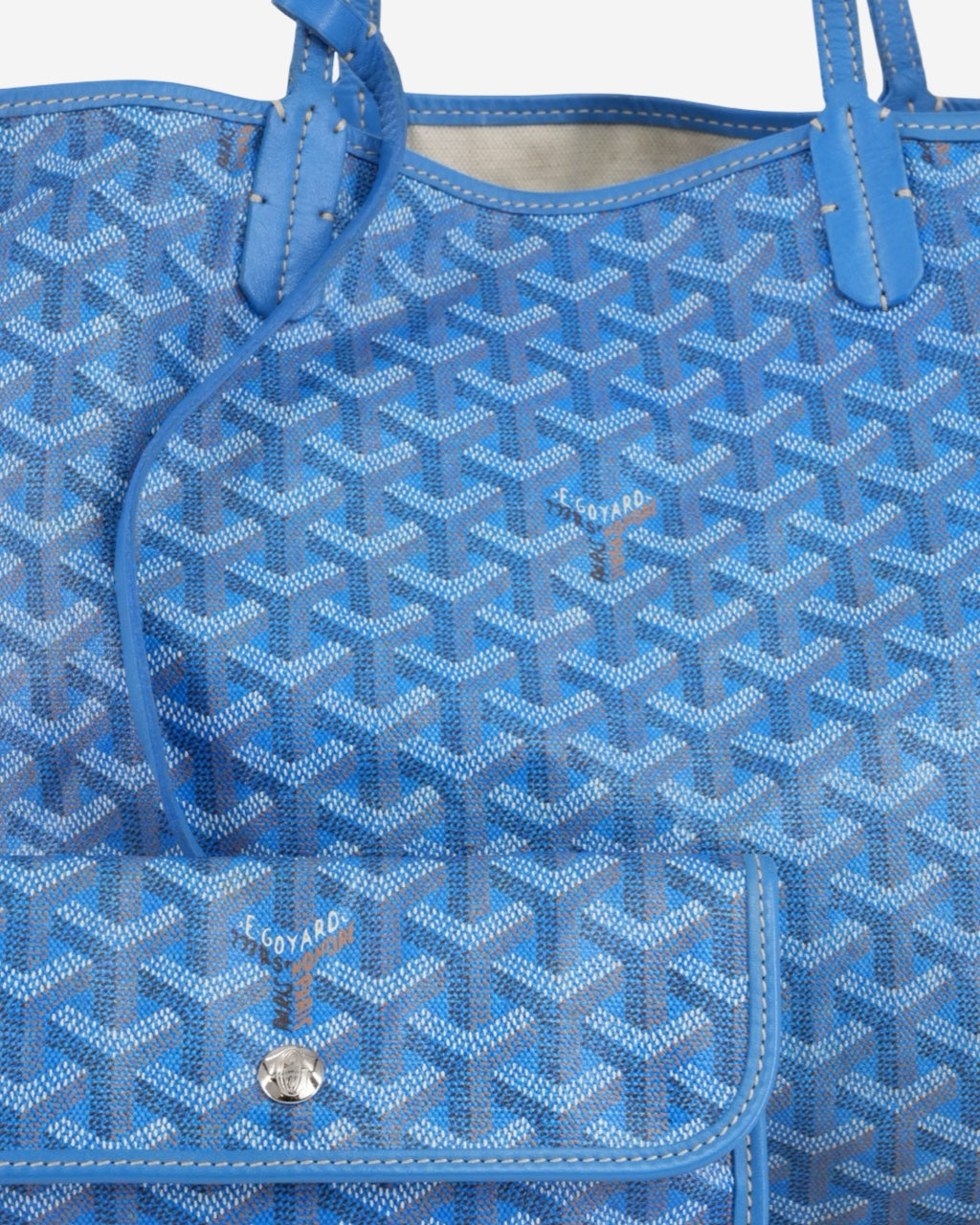Bolso Goyard Saint Louis Tote PM 2007