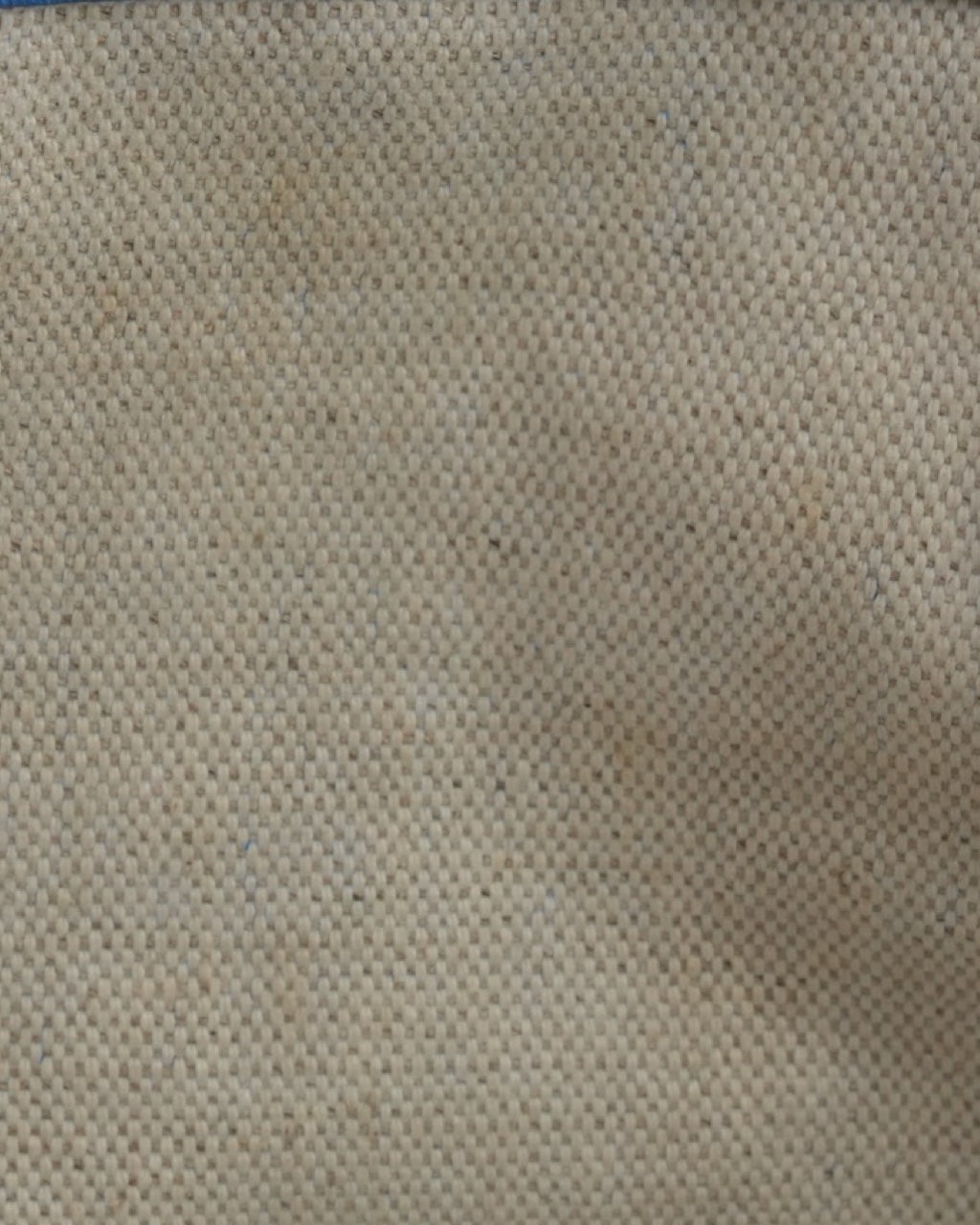 Bolso Goyard Saint Louis Tote PM 2007