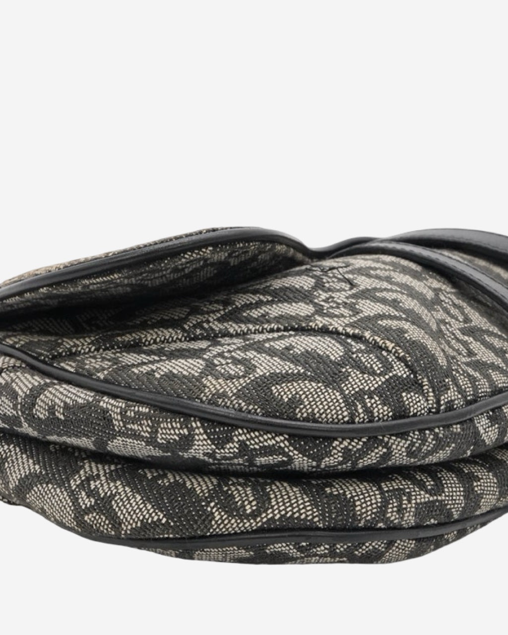 Bolso Dior Double Saddle Trotter 2012