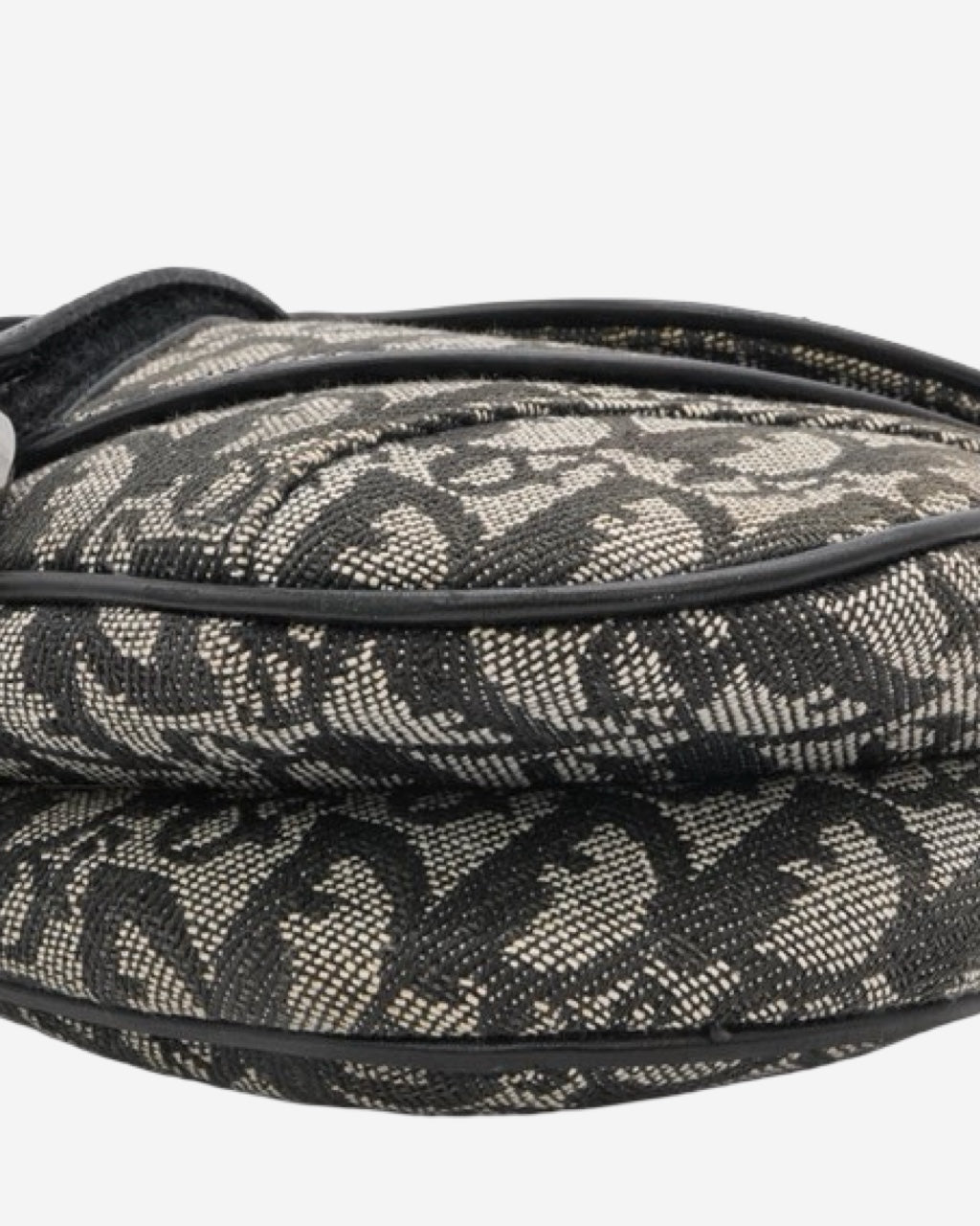 Bolso Dior Double Saddle Trotter 2012