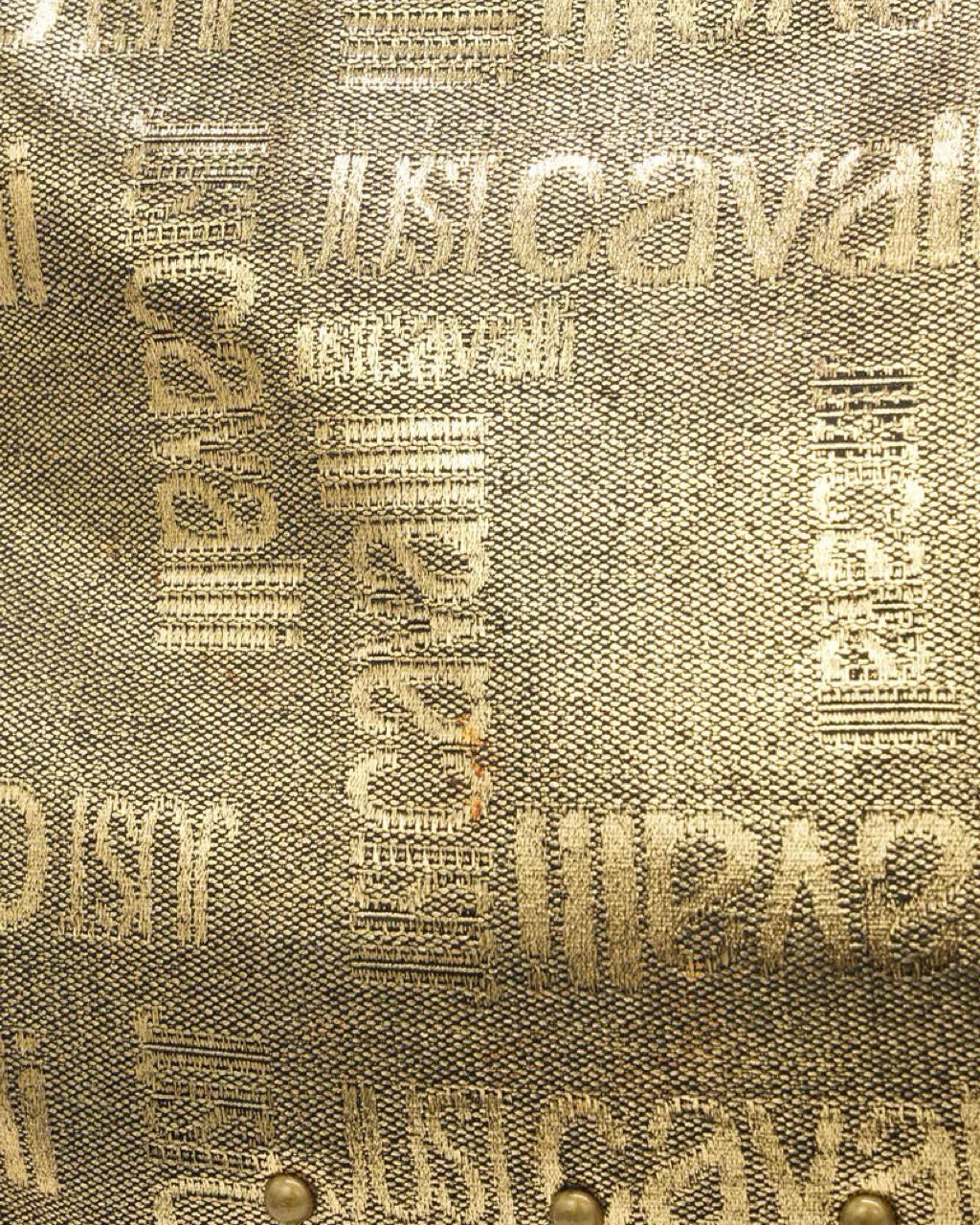 Just Cavalli Hobo Bag