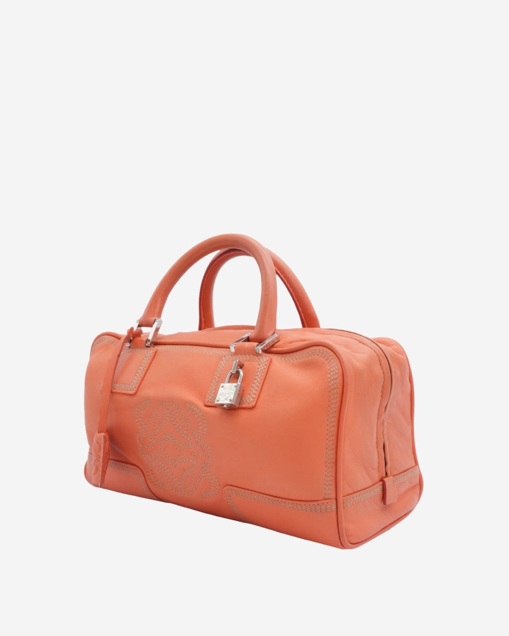 Loewe Amazona 28 Bag