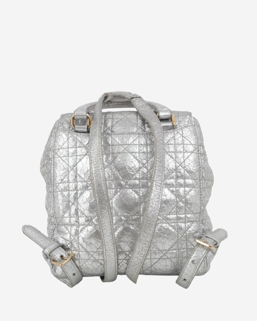 Mochila Dior Stardust 2016
