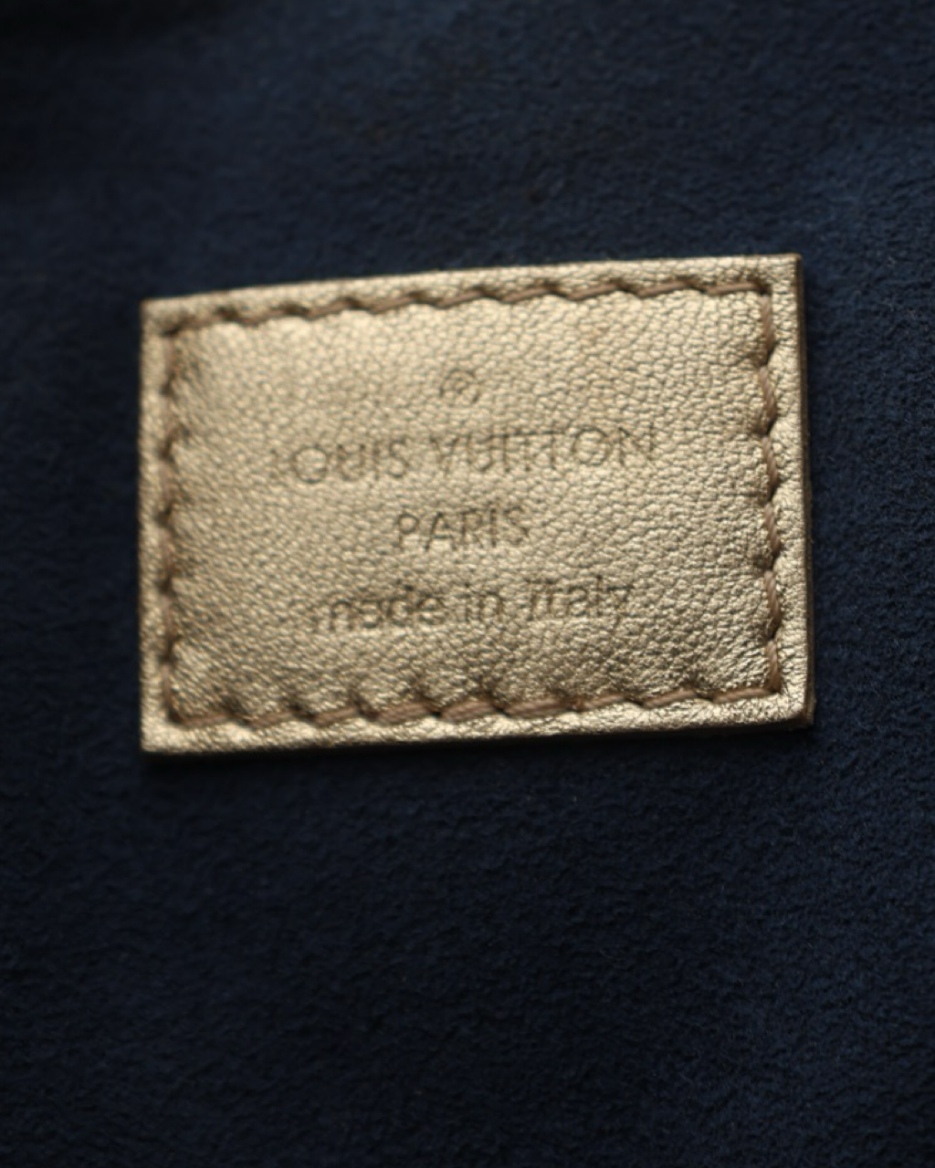 Bolso Louis Vuitton Monogram Coussin PM