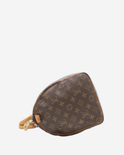 Louis Vuitton Speedy 35 bag